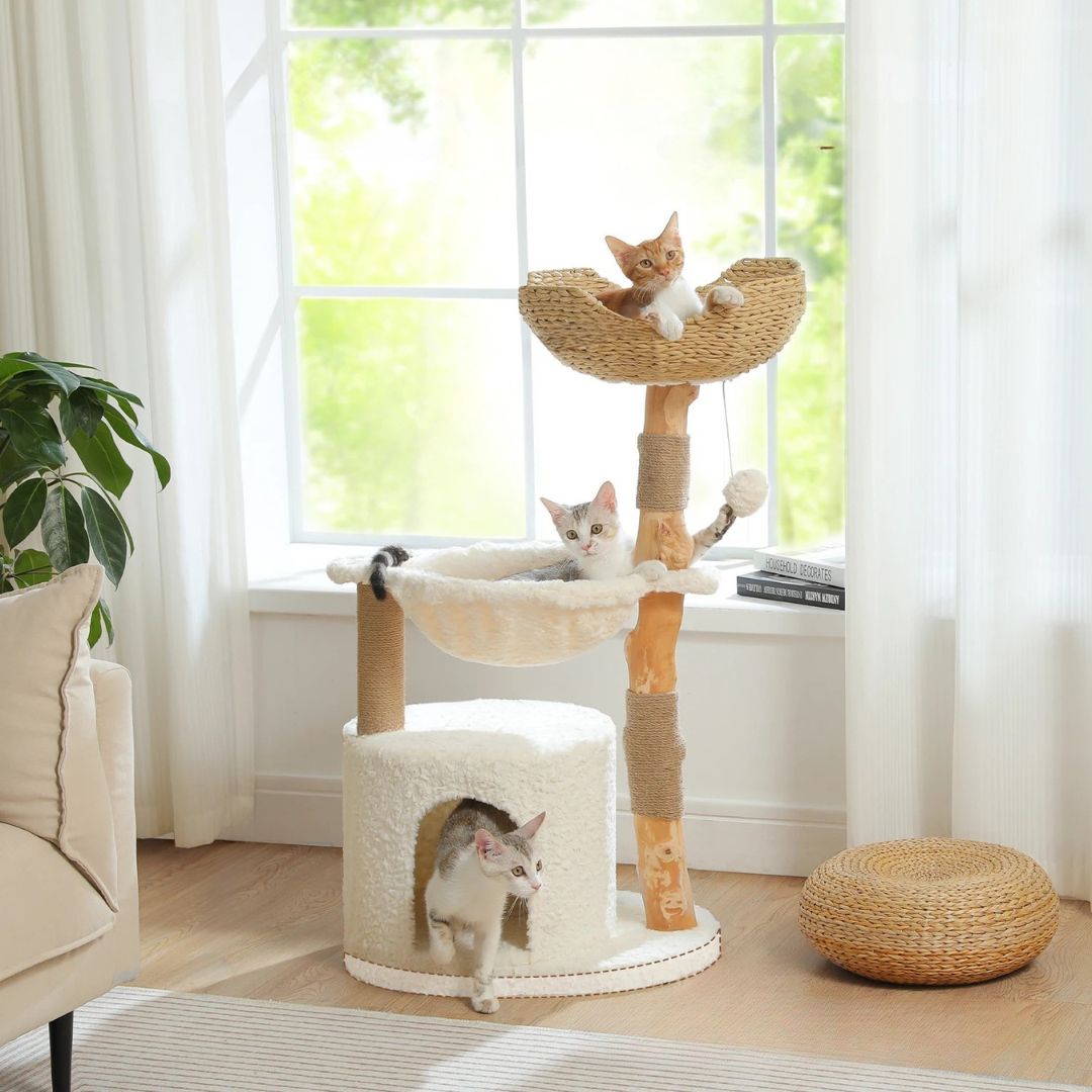 arbre-a-chat-en-bois-deco