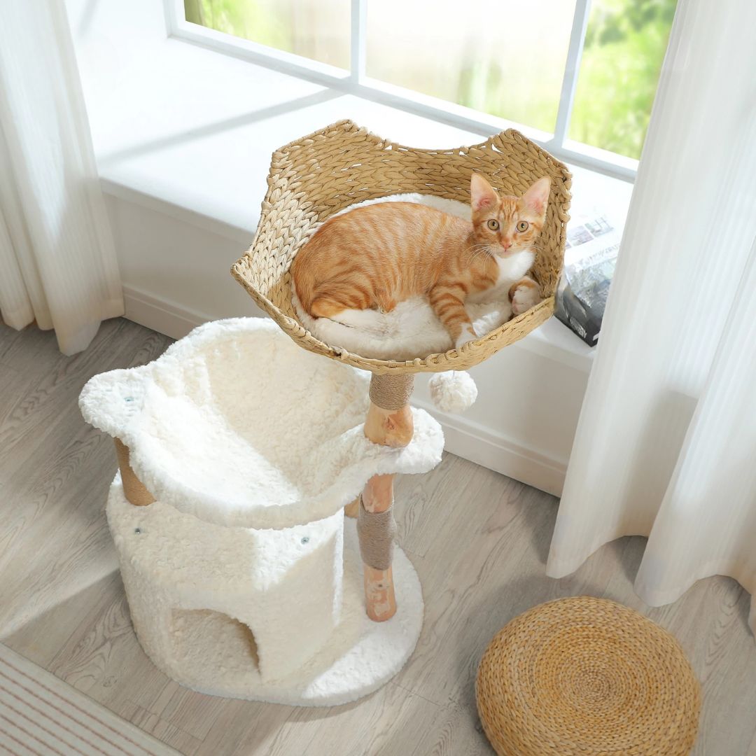 arbre-a-chat-en-bois-panier