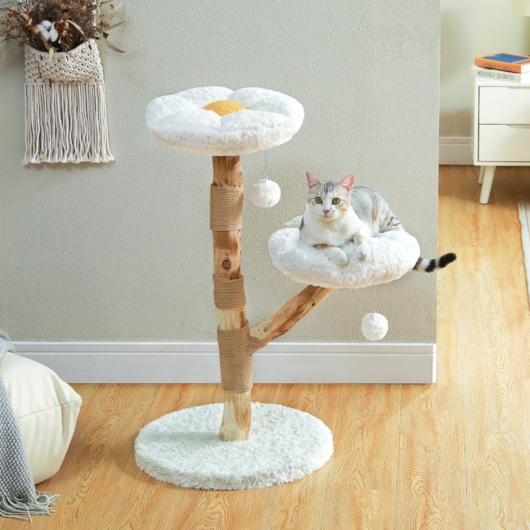 arbre-a-chat-en-bois-parterre