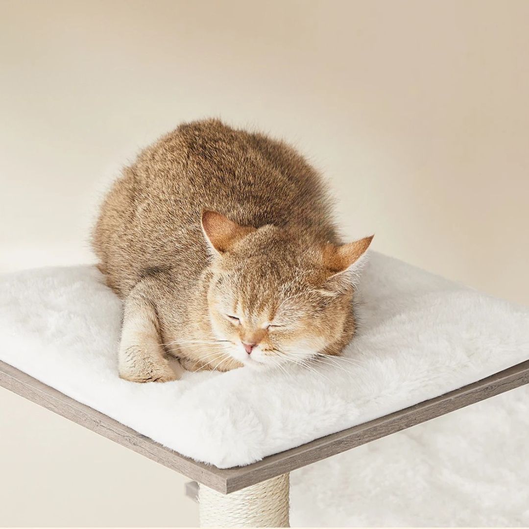 arbre-a-chat-en-bois-repos