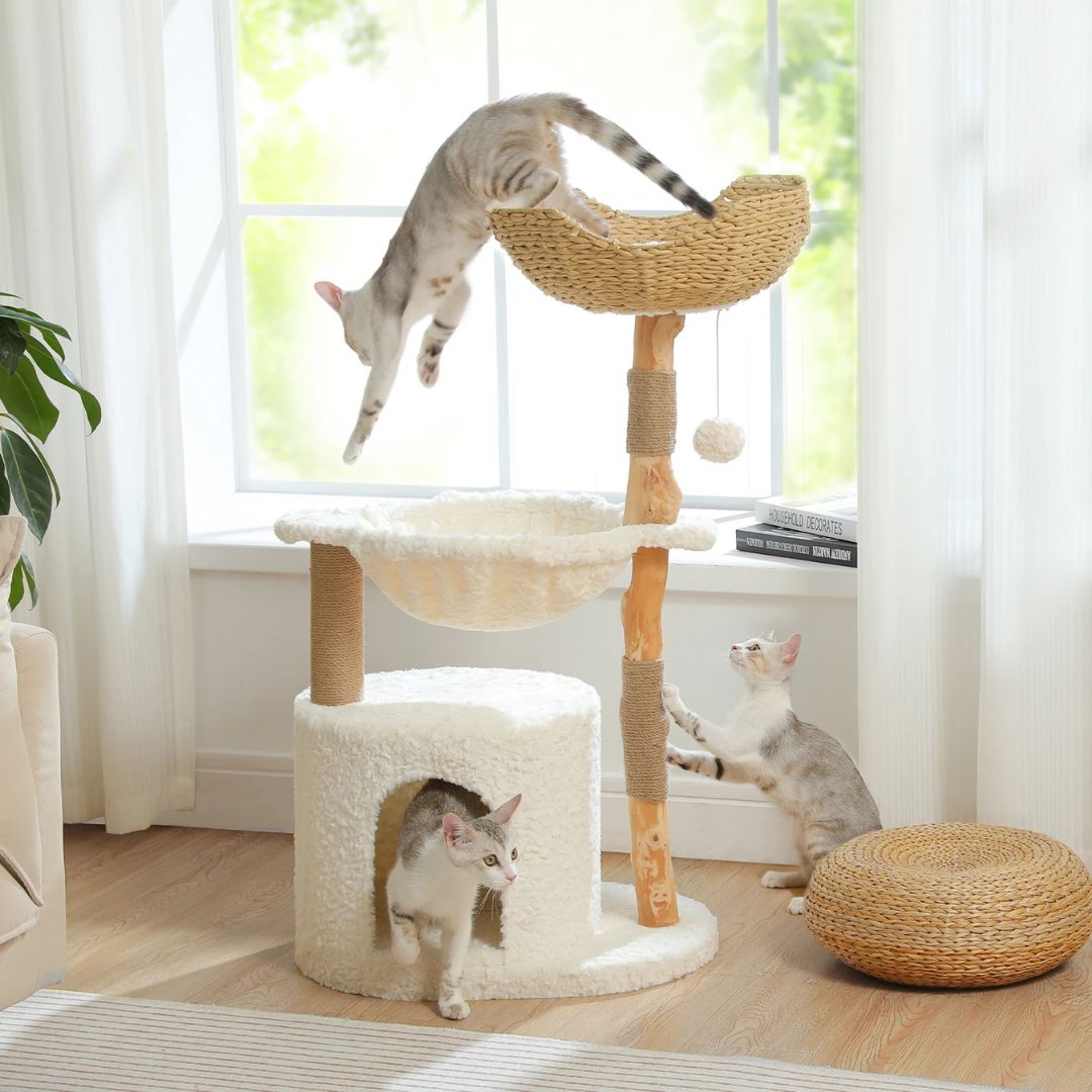 arbre-a-chat-en-bois-saut