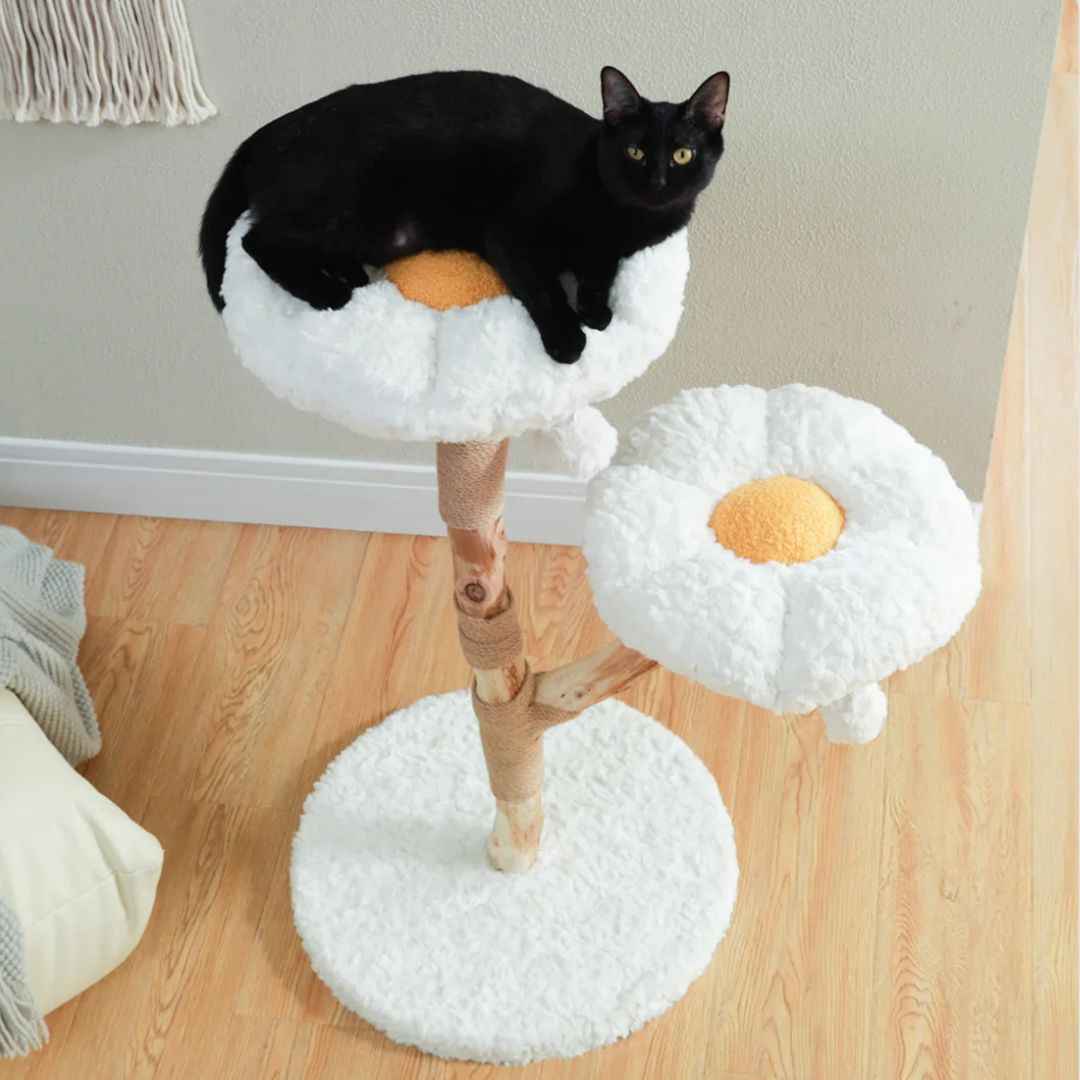 arbre-a-chat-en-bois-vue-haut