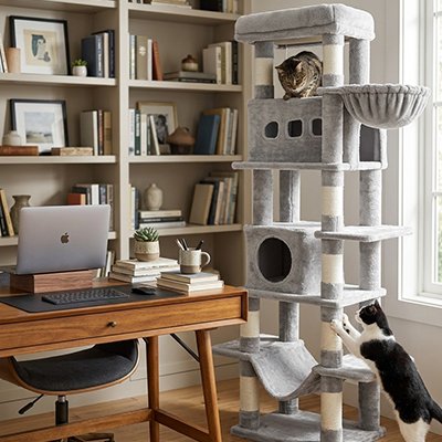 Arbre à Chat espace