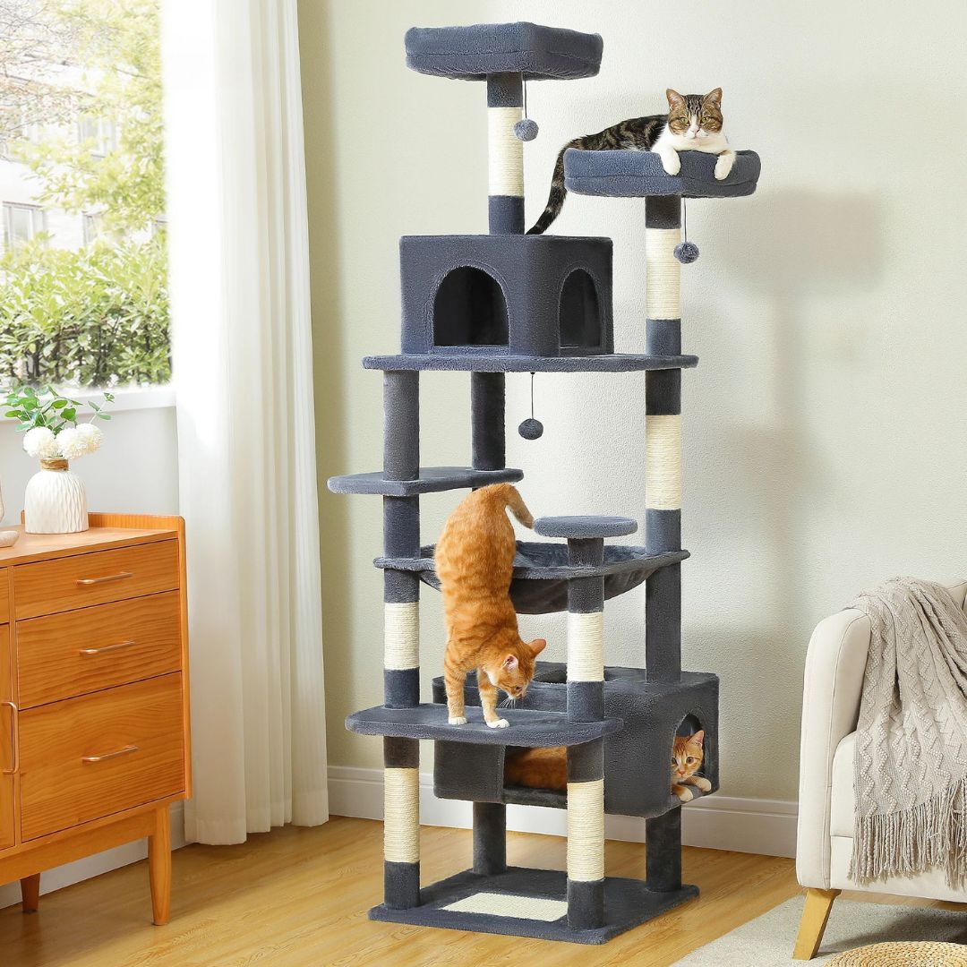 arbre-a-chat-gris-fonce