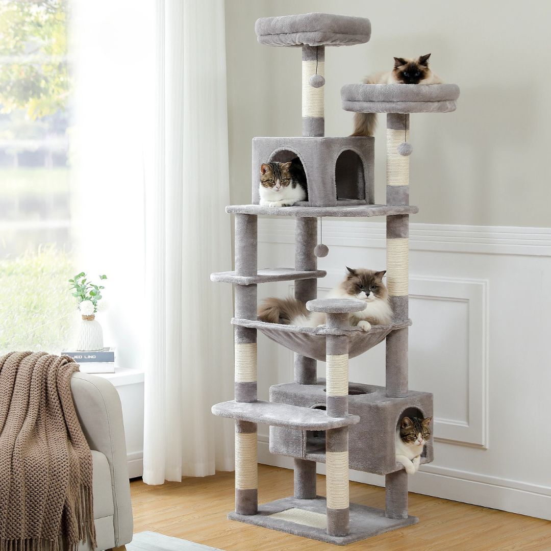 arbre-a-chat-gris