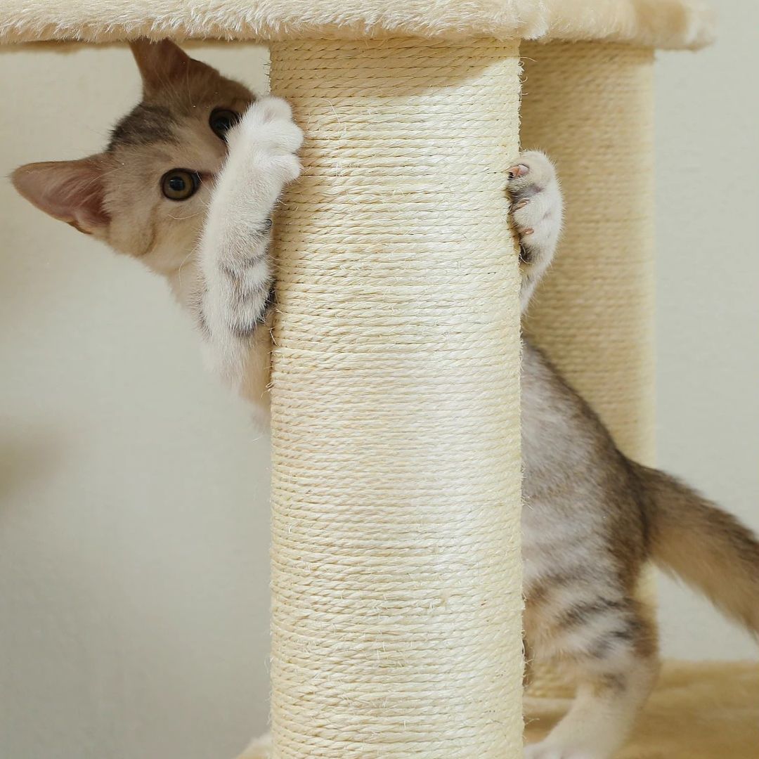 arbre-a-chat-poteau-griffoir