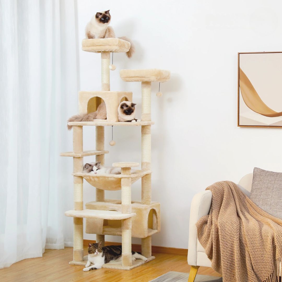 arbre-a-chat-salon