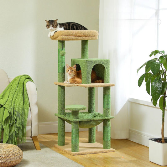 arbre-a-chat-vert