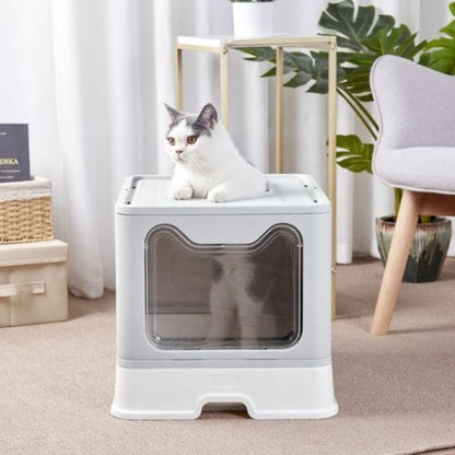 bac-a-litiere-chat-sortie