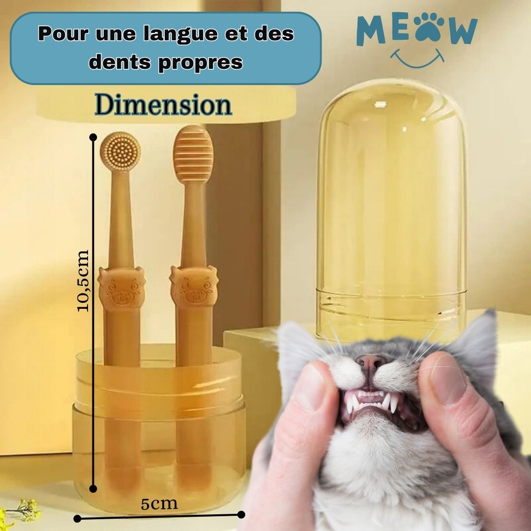 Brosse a dent chat | MeowSmile™