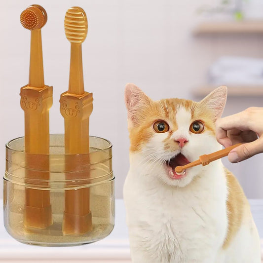 Brosse a dent chat | MeowSmile™