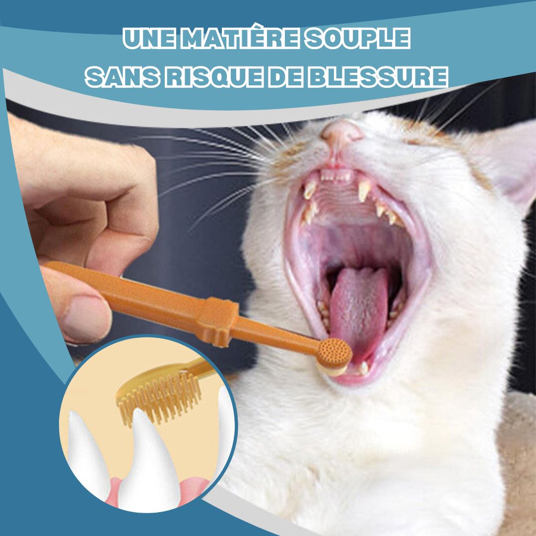 Brosse a dent chat | MeowSmile™