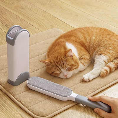brosse-anti-poil-chat