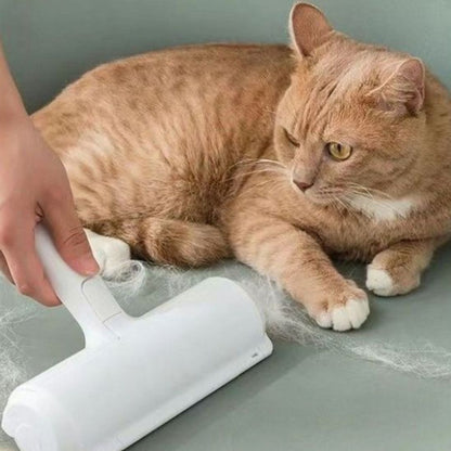 brosse-anti-poil-chat