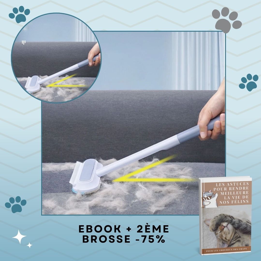 Brosse anti poil | PeluchOff™