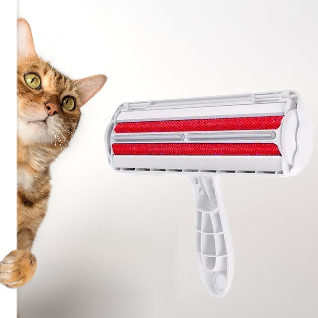 Brosse anti poil | PoilAway™