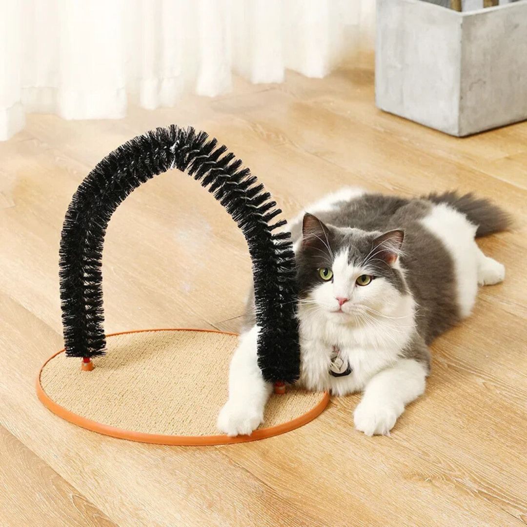 brosse-chat-arche