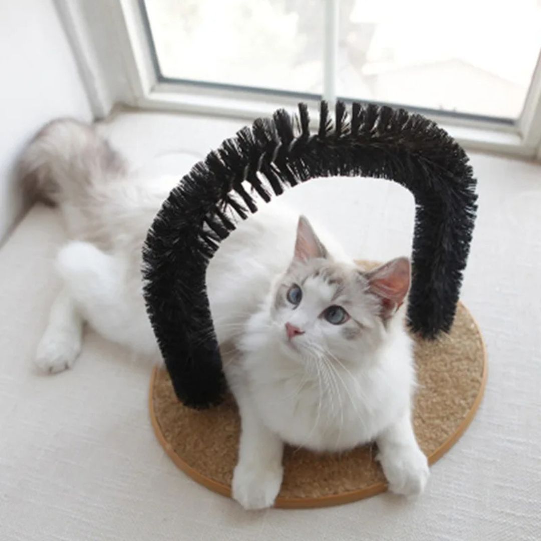 brosse-chat-confort