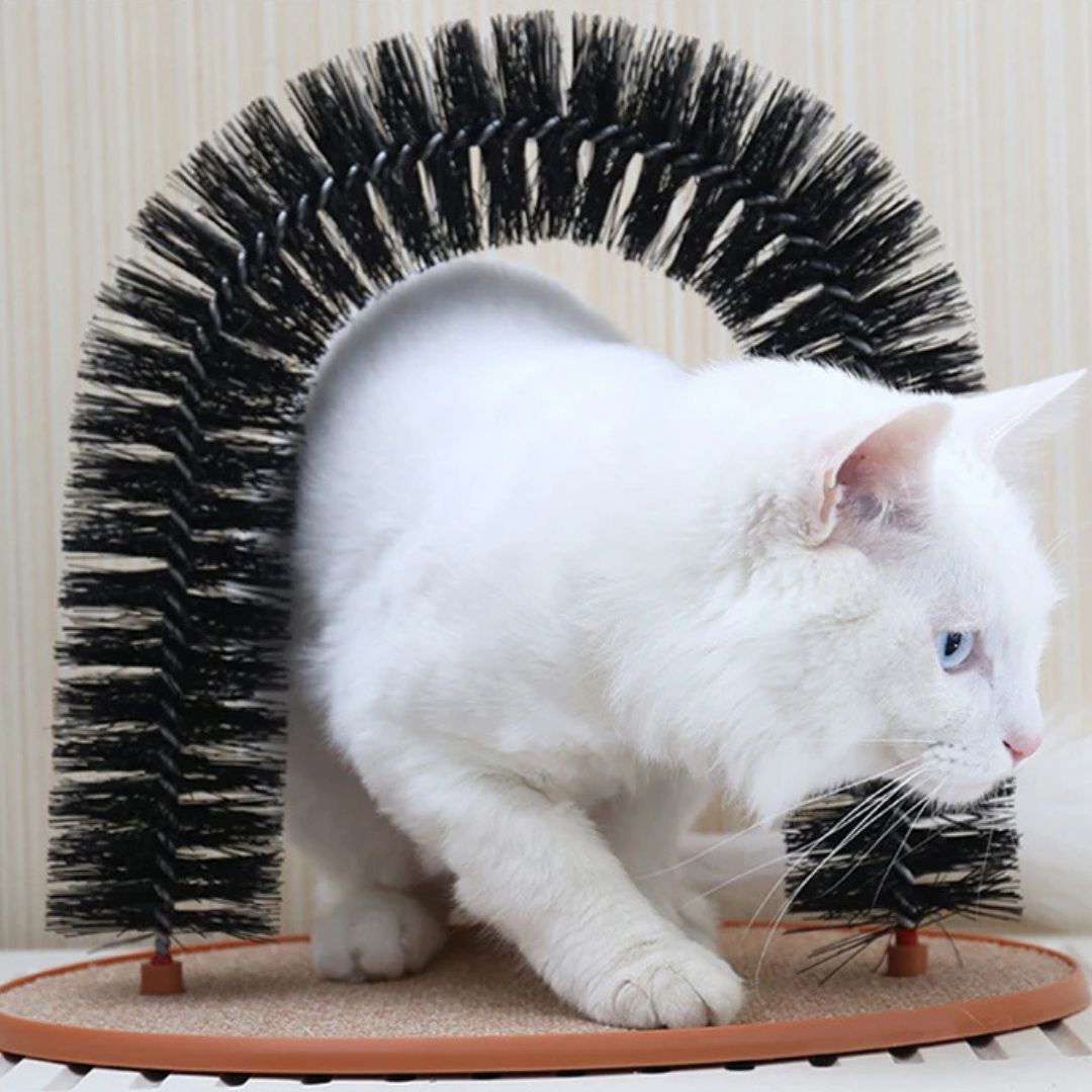 brosse-chat-griffoir