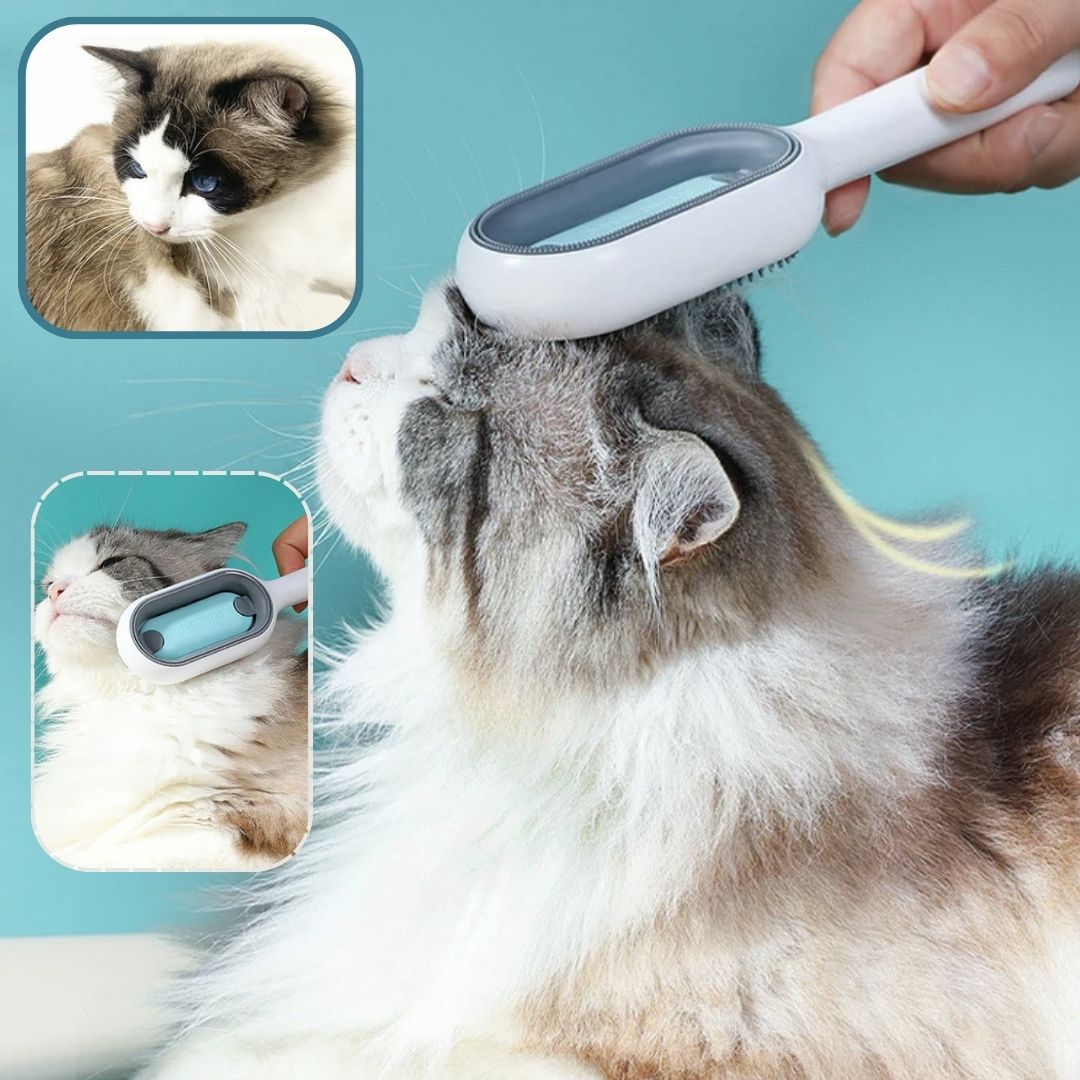 Brosse pour chat | Furrfresh™