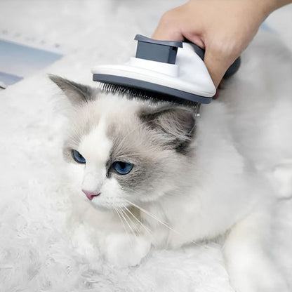 brosse-pour-chat-agreable