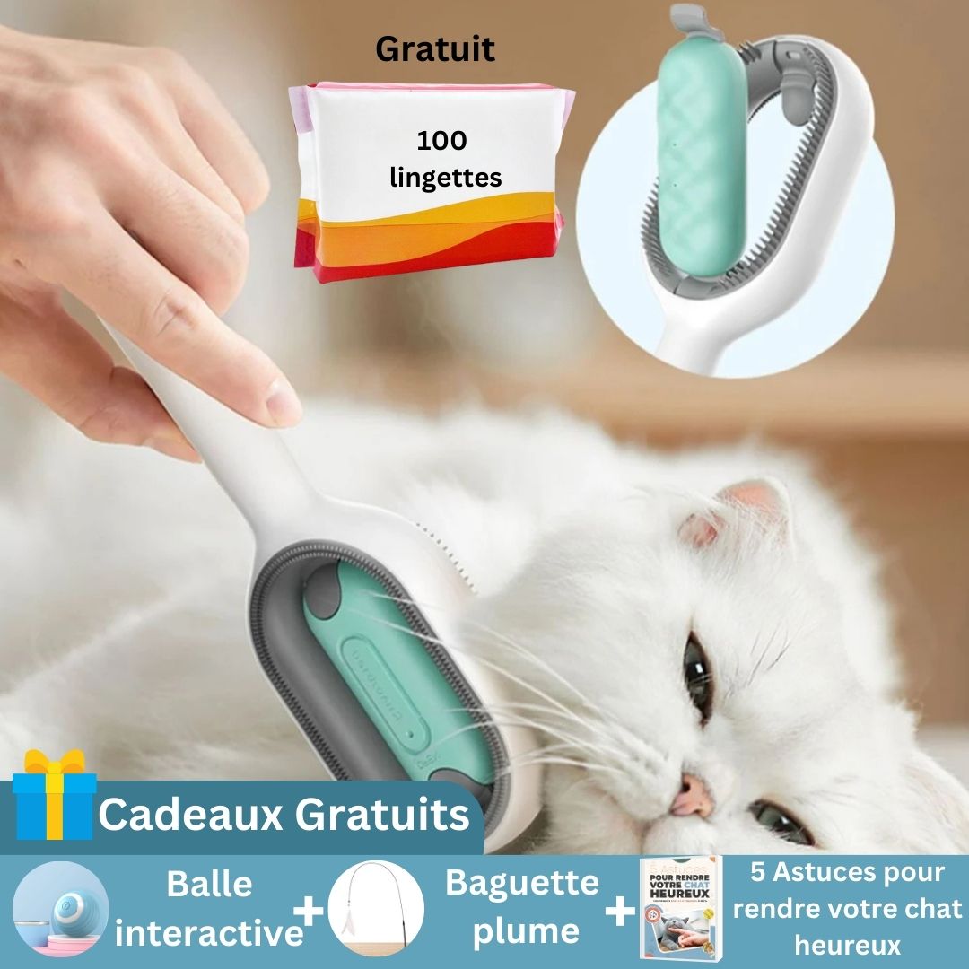 brosse-pour-chat-bleu