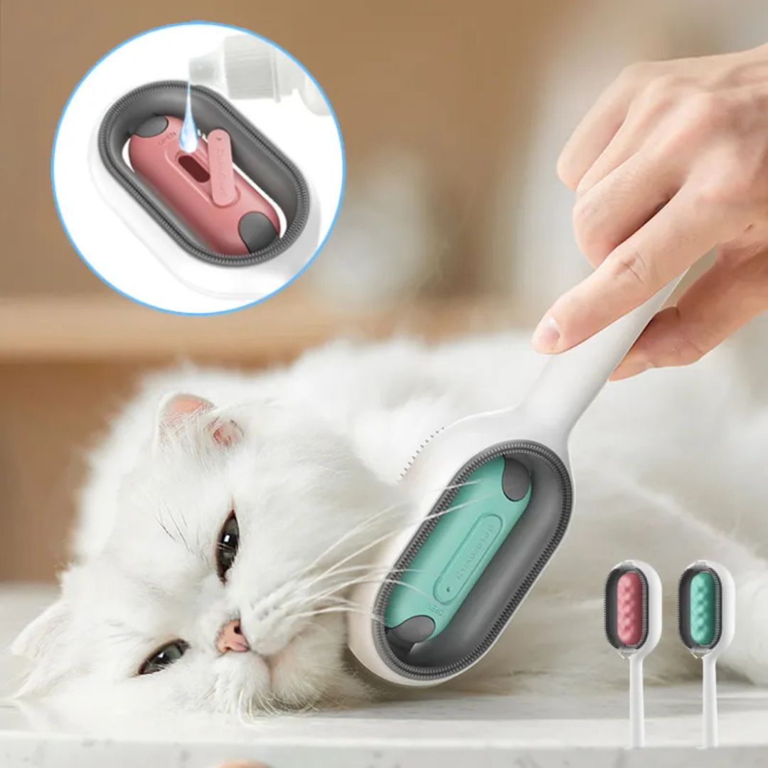 brosse-pour-chat-couleur