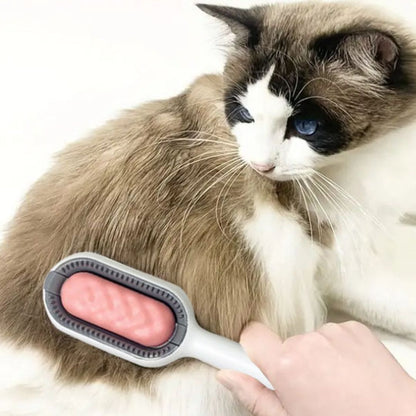 brosse-pour-chat-lisse