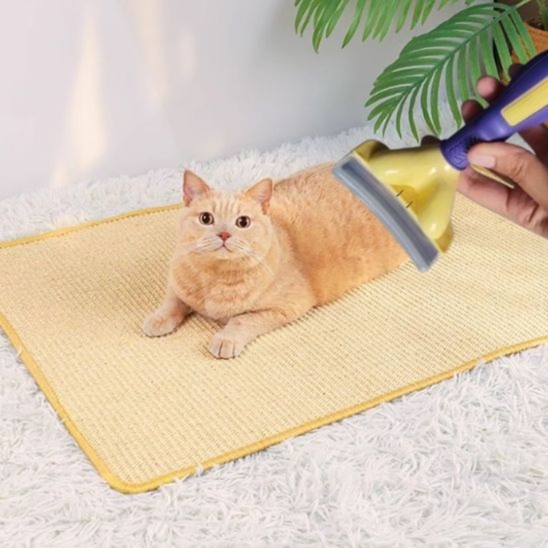 brosse-pour-chat-relaxant