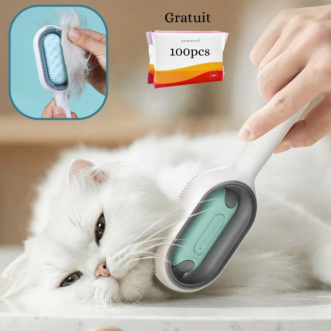 brosse-pour-chat-vert