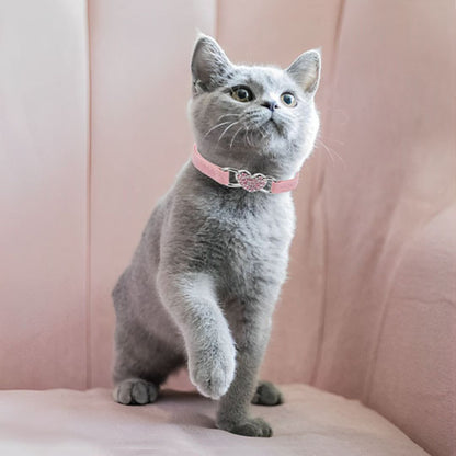 collier-chat-chaton