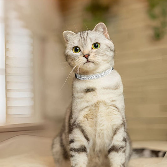 collier-chat-chic