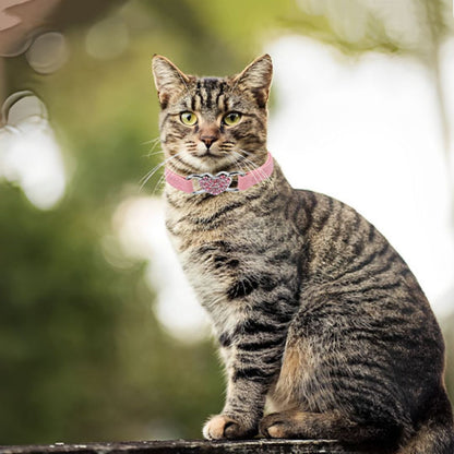 collier-chat-confort