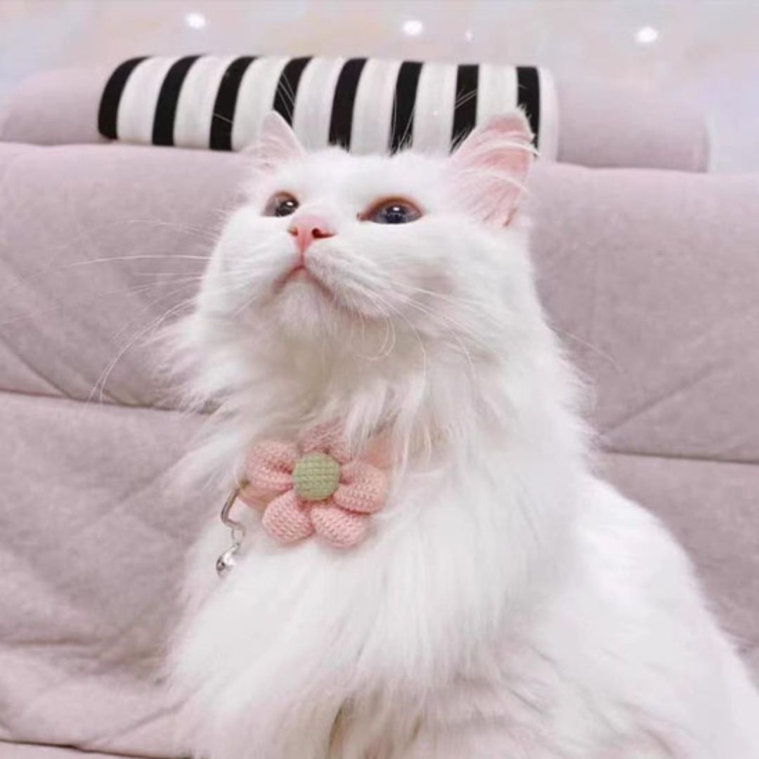 Collier chat | PurrFlower™