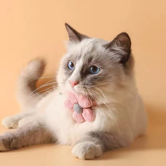 Collier chat | PurrFlower™
