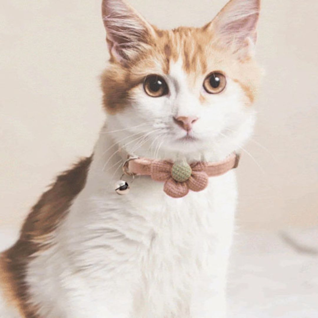 Collier chat | PurrFlower™
