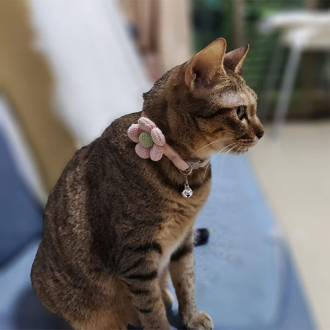 Collier chat | PurrFlower™