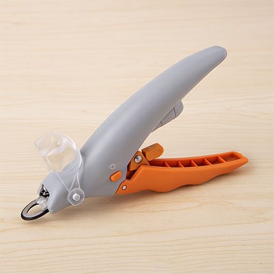 coupe-griffe-chat-gris-orange