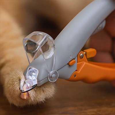 coupe-griffe-chat-praticité