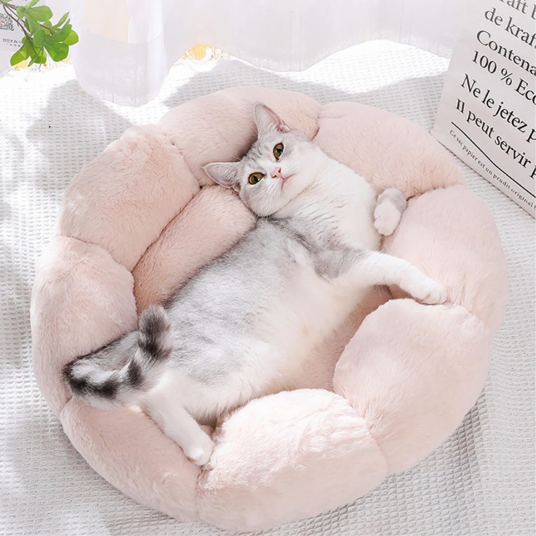 Coussin pour chat | ConfortFleur™