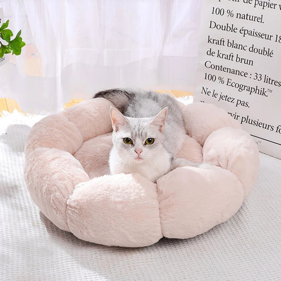 Coussin pour chat | ConfortFleur™