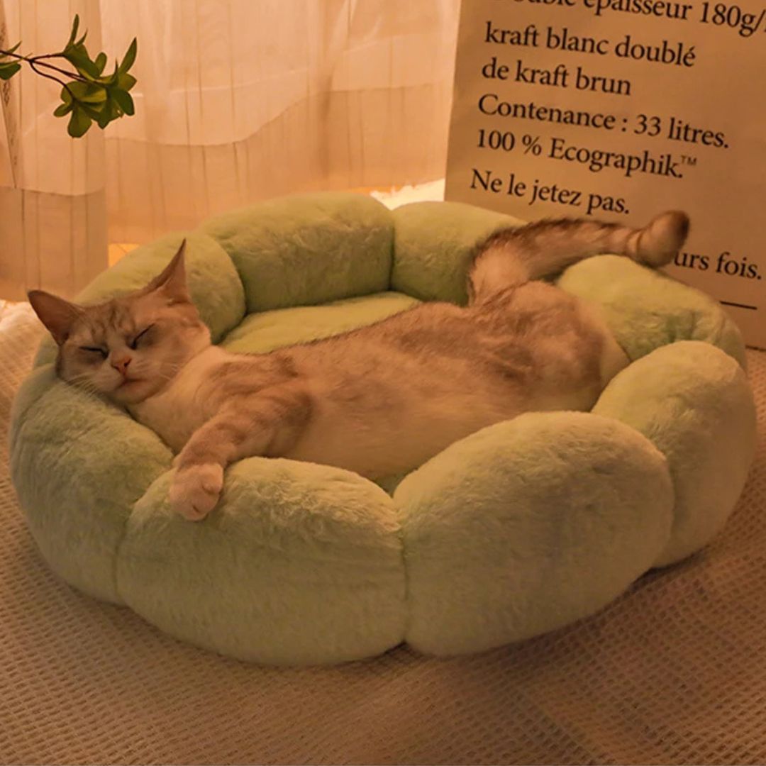 Coussin pour chat | ConfortFleur™