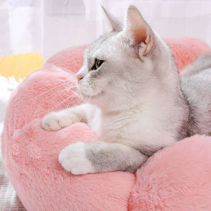 Coussin pour chat | ConfortFleur™