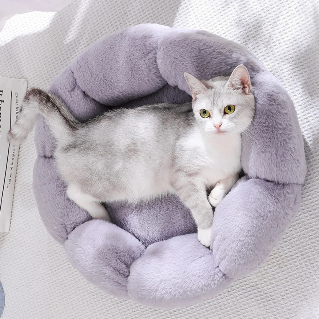 Coussin pour chat | ConfortFleur™