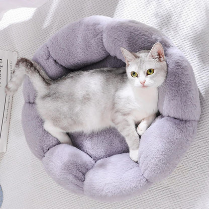 Coussin pour chat | ConfortFleur™