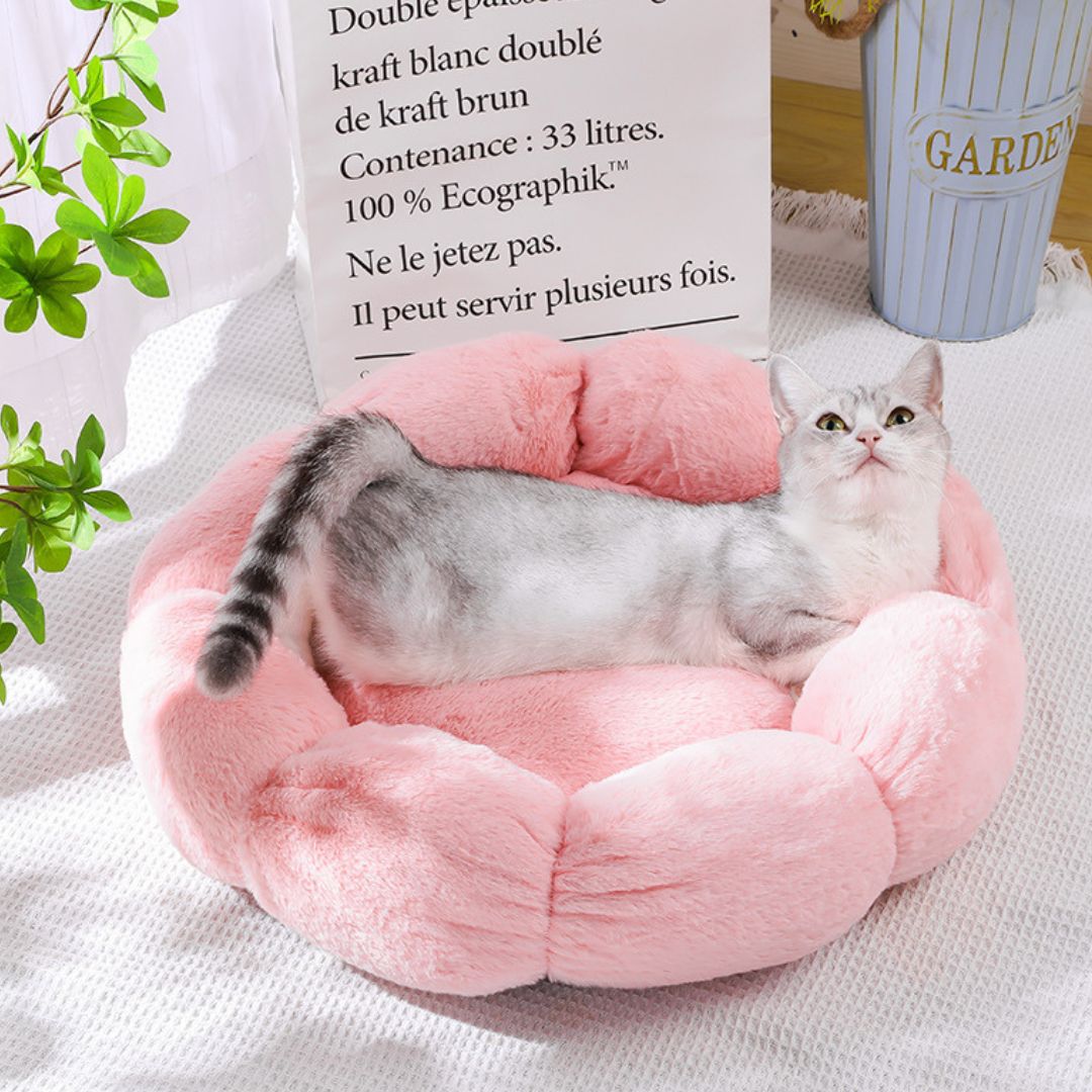 Coussin pour chat | ConfortFleur™