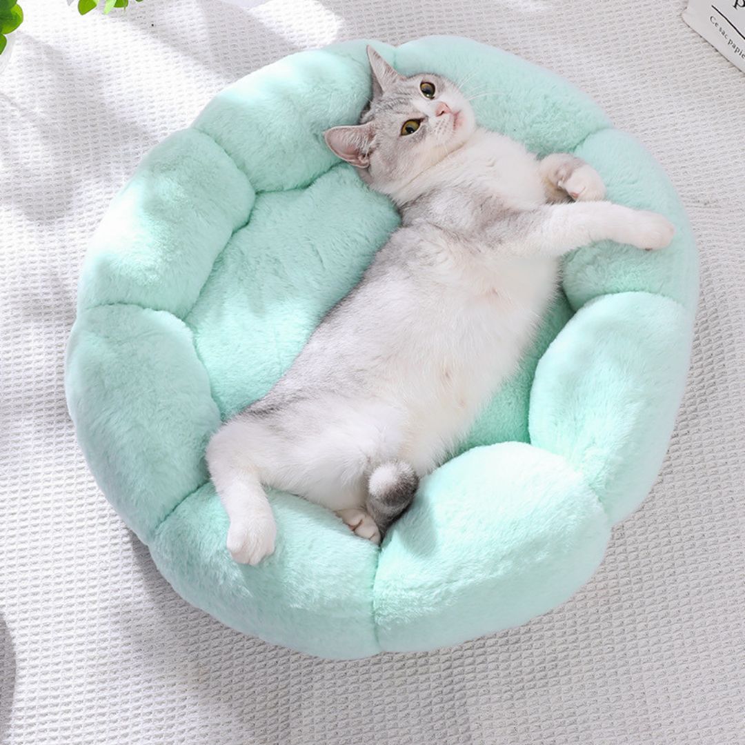Coussin pour chat | ConfortFleur™