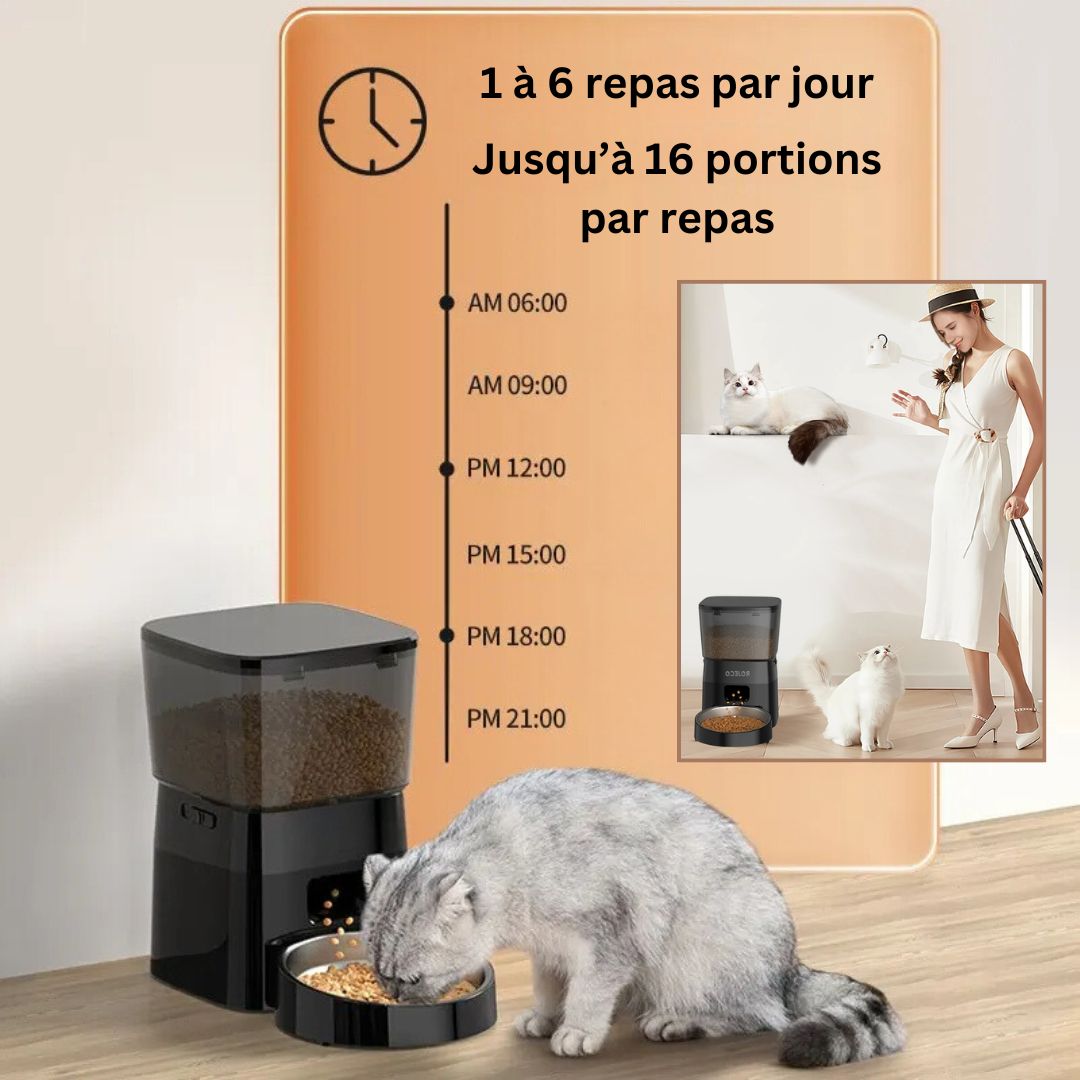 distributeur-de-croquettes-pour-chat-absence