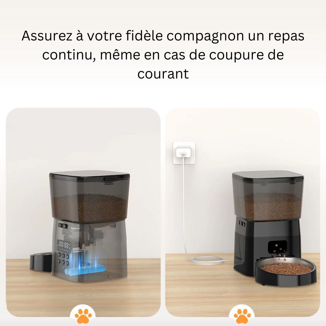 distributeur-de-croquettes-pour-chat-alimentation