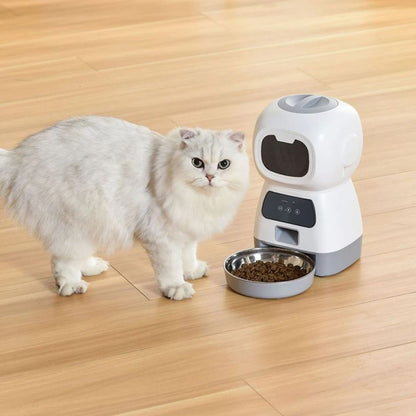 distributeur-de-croquettes-pour-chat-attendre